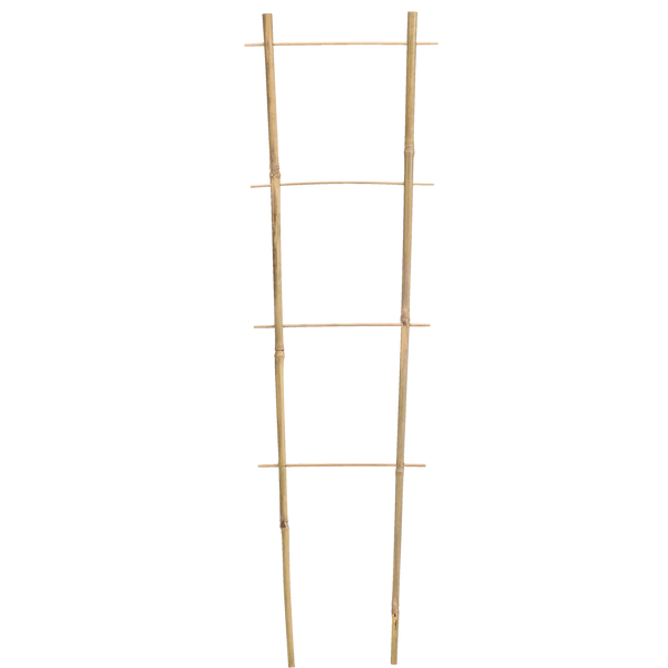 Bamboo ladder 150 CM x 10/28 CM x 10/12 MM pack=25pcs