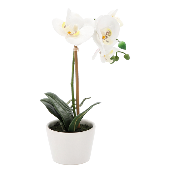 UMĚLÁ KVĚTINA - ORCHIDEA MIX 3 BARVY 30 CM bal=12 ks pal=36 ks *4825