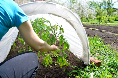 AGRICULTURAL FABRIC 1.6 x 5 M SPRING WHITE 17g