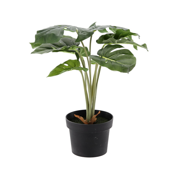 ARTIFICIAL PLANT 42CM