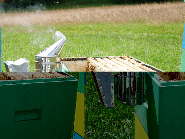 BEEKEEPER VACUUM CLEANER STAINLESS STEEL 26 CM