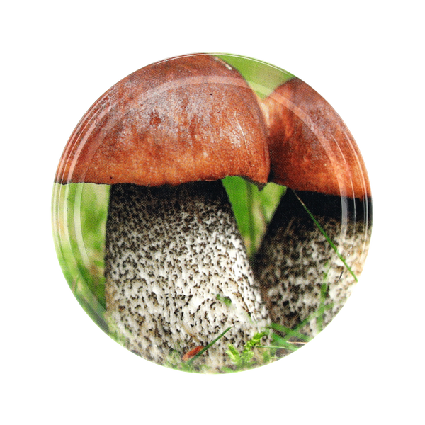 LID f 82 6Z MIX MUSHROOMS 091 pcs. 750
