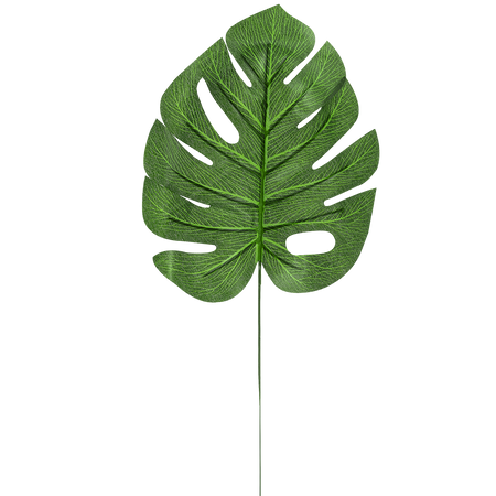 MONSTERA LEAF*9227