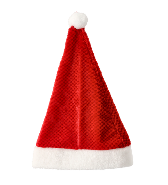 SANTA CLAUS HAT