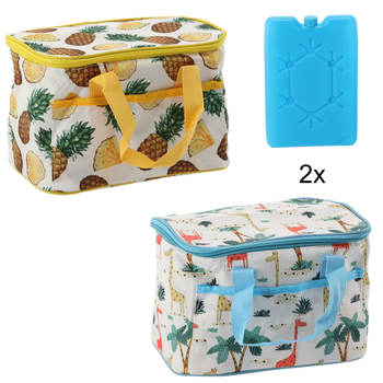 TERMOSKA TAŠKA 25 x 17 x 17 CM 6L KUFŘÍK MIX 2 VZORŮ S DVĚMA CHLAZENÍMI VLOŽKAMI *9264