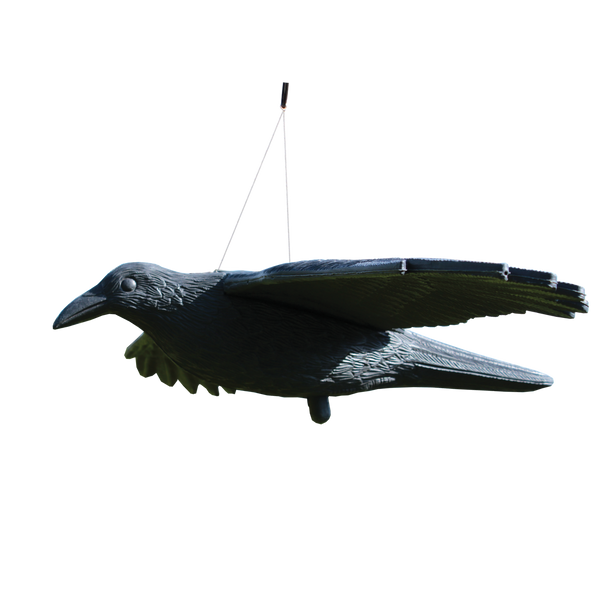 BIRD DETERRENT - RAVEN 80 x 44 x 12 cm