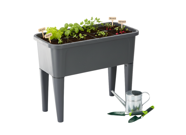 GREENHOUSE TABLE WITH LID 76 x 38 x 83 CM GREY