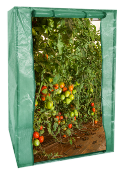 Garden greenhouse 100 X 50 X H150cm