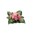 KYTICA CH-21 ( ŠÍRKA 40 CM, VÝŠKA 30 CM) HIBISKUS MIX FARBA