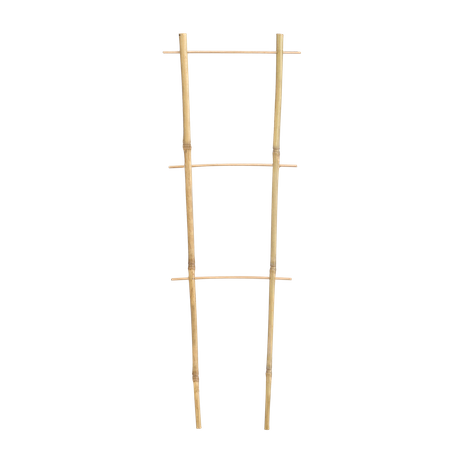 DVOJITÁ BAMBUSOVÁ REBRÍK 45 CM balenie=25ks *3137