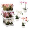 UMĚLÁ KVĚTINA - ORCHIDEA MIX 3 BARVY 30 CM bal=12 ks pal=36 ks *4825