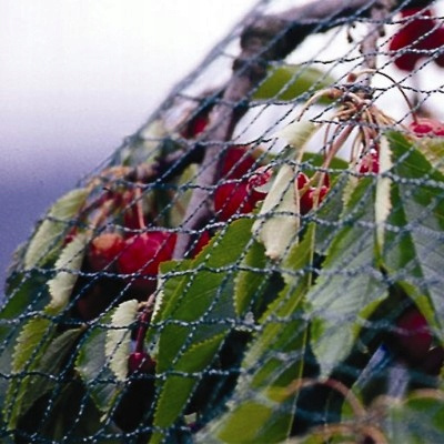 Protective mesh against birds MONO+MONO 8 X 20 M + 16 pins (15 g/m2)
