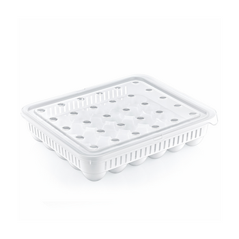 RECIPIENT RECTANGULAR PENTRU OUĂ 30 BUC *1106