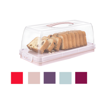 RECIPIENT RECTANGULAR PENTRU TORT 13x23,5x17CM *5364